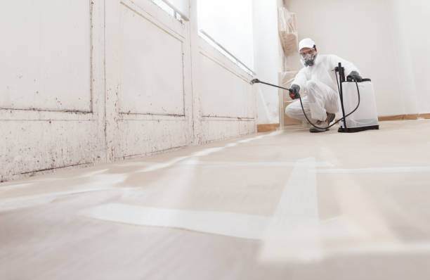 24/7 Emergency Mold Inspection experts in Brighton, MI